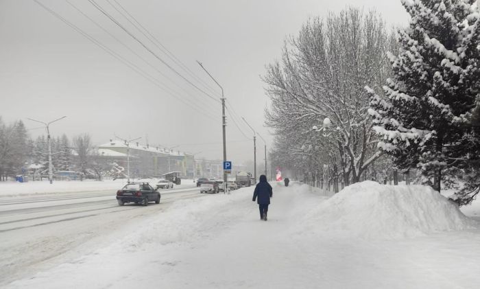 Өскеменде мамандар ауа сапасына көшпелі мониторинг жүргізді