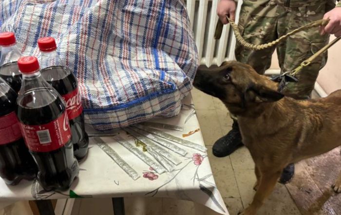 Қызылордада сотталған азаматқа сөмке бауына жасырып есірткі өткізбек болды