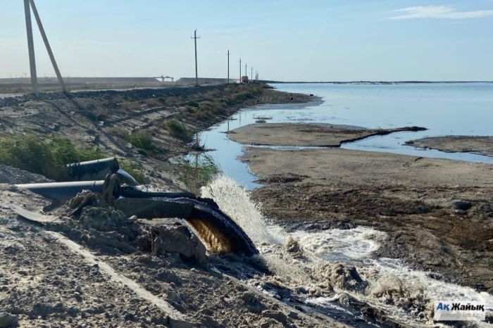 Экологтар «Атырау облысы Су Арнасын» сотқа берді