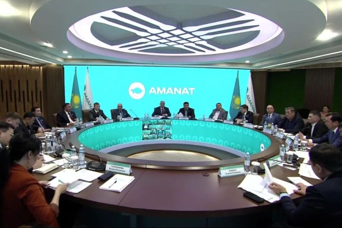 ​Toyota Alphard көлігімен қалааралық тасымал жасауға тыйым салынуы мүмкін