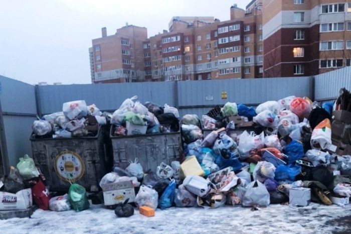 ​Семейде қоқыс контейнерінен жаңа туған баланың денесі табылды: Полиция күдіктілерді анықтады