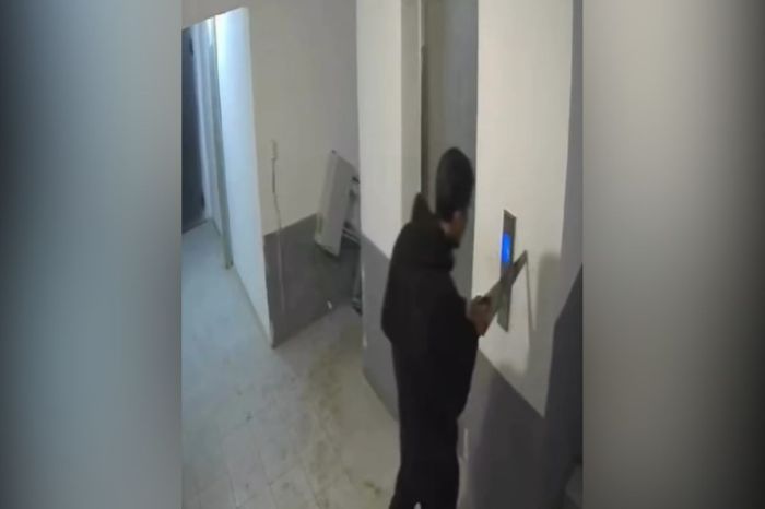 Береке ықшамауданында қолына ара ұстаған ер адам ұсталды