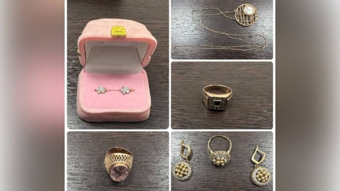 ​Түркістан облысында пәтер ұрлығын жасаған жігіт ұсталды: күдікті жәбірленушінің немересі болып шықты