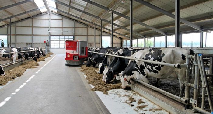 ​Павлодарда прокурорлық қолдаумен сүт-тауар фермасы жобасы қайта жанданды