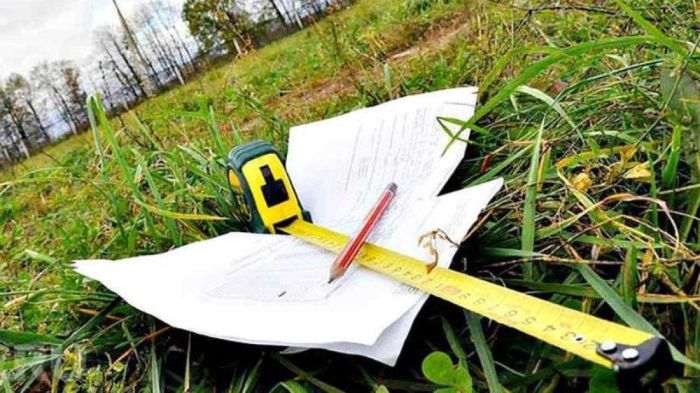 ​Түркістанда 3 мың га ауыл шаруашылығы жері мемлекетке қайтарылды