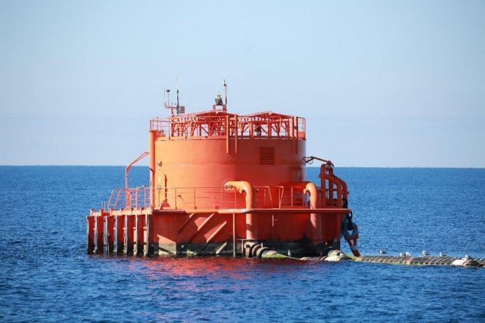 АҚШ мемлекеттік департаменті Киевке Қазақстандағы өз мүдделері туралы ескертті — елшінің мәлімдемесі