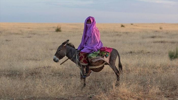 БҰҰ: 1 млрд-тан астам адам жері мен баспанасынан айырылуы мүмкін