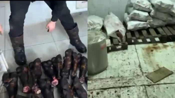 Елордада 3 мың тонна заңсыз ет тәркіленді