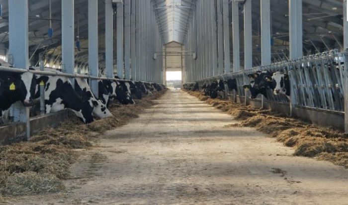 АШМ мал шаруашылығына жеңілдетілген несие беруді бастады