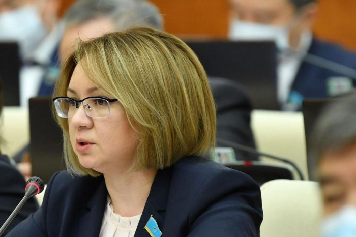 ​Қазақстанда отбасы мәселелері жөніндегі уәкіл тағайындалды​