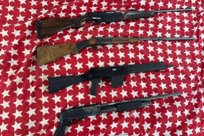 ІІМ заңсыз қаруды анықтап, тәркілеу шараларын күшейтуде