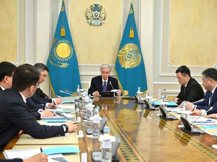 ​Тоқаев: «Адамды жүгіртіп, әуре-сарсаңға салмай, деректерді қолжетімді еткен жөн»