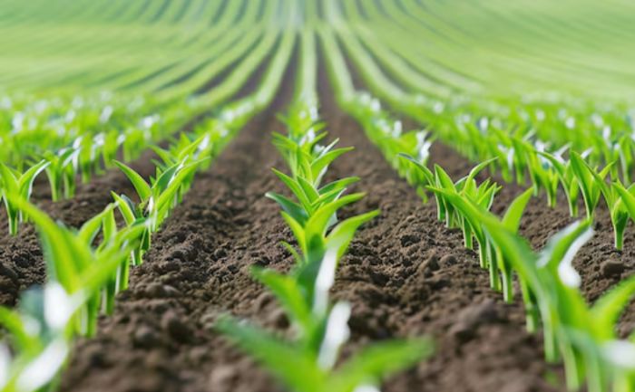 2900-ден астам шаруа көктемгі егіс жұмыстарына арналған ерте қаржыландыруға қол жеткізді