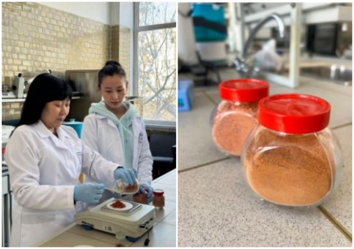 Қазақстандық ғалымдар онкологияның алдын алуға арналған қоспа әзірлеуде