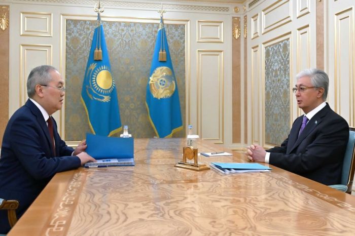 Қасым-Жомарт Тоқаев Қаржылық мониторинг агенттігінің төрағасы Жанат Элимановты қабылдады