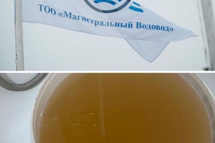 Үшінші әрекеттен кейін: Атырауда 6,4 млрд теңгені жымқыру бойынша​ “ҚазТрансОйл” топ-менеджерінің ісі сотқа жетті 