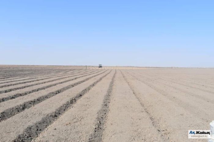 Махамбеттегі көктемгі дала дүбірі