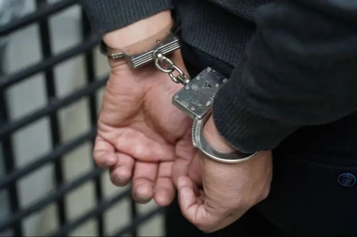 Батыс Қазақстанда ветеринарлардың көмегімен мал ұрлаған ұйымдасқан топ әшкереленді