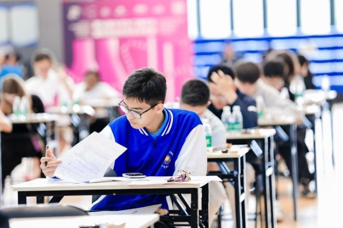 ​Қазақ тілі алғаш рет халықаралық олимпиадада жұмыс тілі ретінде бекітілді 