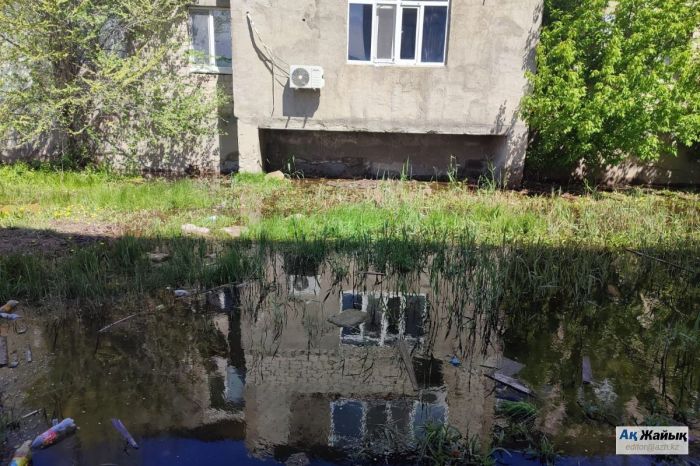 Атырауда үйлерді кәріз суы басты: тұрғындар дабыл қақты