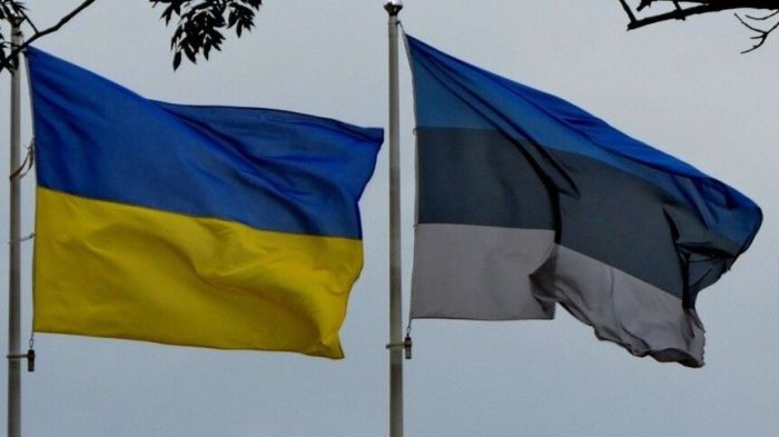 Украина Эстониядан кешірім сұрады: дрон оқиғасы