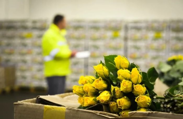 Ресей Армениядан гүл әкелуге уақытша шектеу енгізді