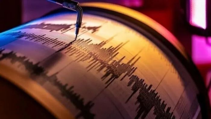 ​Мексикада 6,0 магнитудалы жер сілкінісі болды