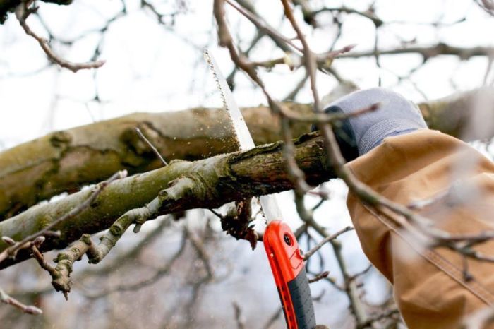 ​Құрманғазы ауданында өндірістік жарақат алған әкімдік қызметкеріне қатысты іс жабылды