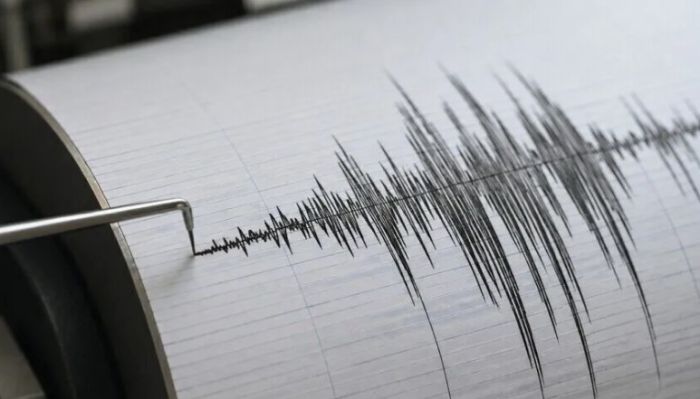 Тәжікстанда 5,5 магнитудалы жер сілкінісі болды