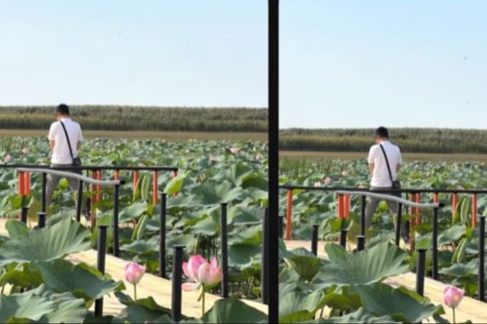Қиғаштағы фото дауы: әкімдік түсініктеме берді