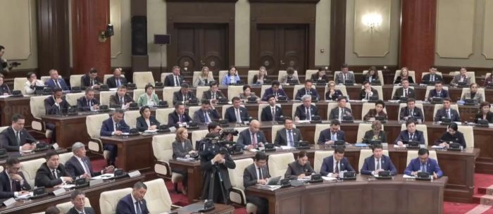 «Делдалдар» және жарты жылдық кезек: арнайы ХҚКО жұмысын өзгерту ұсынылды