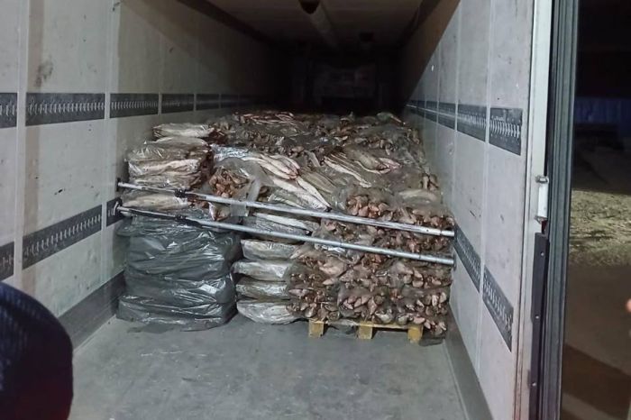 Атырауда ірі көлемде заңсыз балық өнімі тәркіленді
