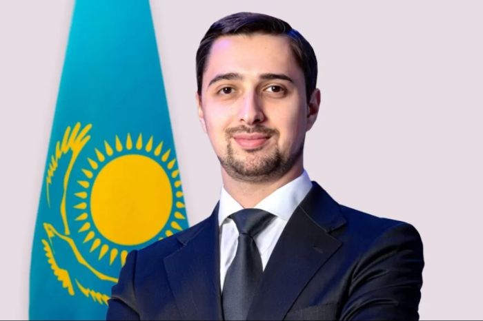 Шетелдіктерге ЖСН-ді​ ХҚКО-ға бармай-ақ​ онлайн алуға рұқсат берілуі мүмкін