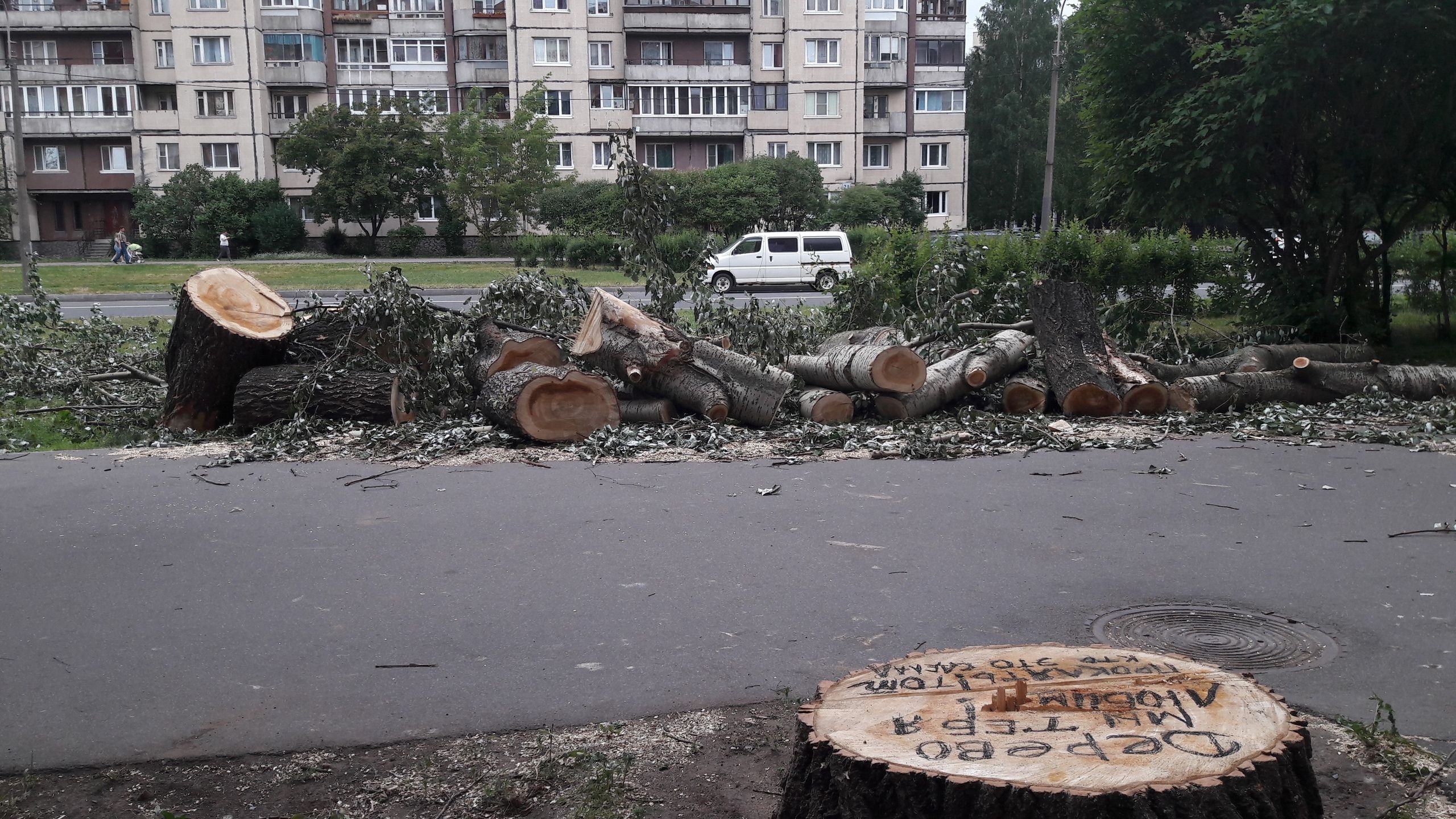 Благоустройство «под ноль»: кому выгодно уничтожать деревья — новости на  сайте Ак Жайык