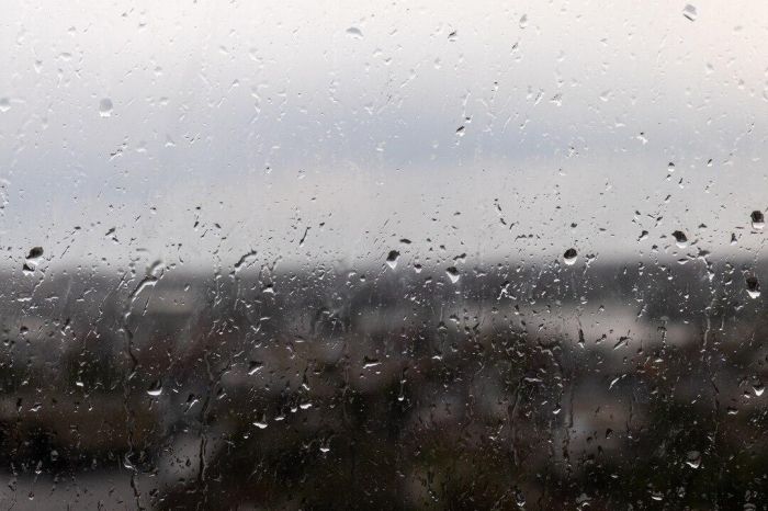 Дожди ожидаются в пятницу в большинстве регионов Казахстана