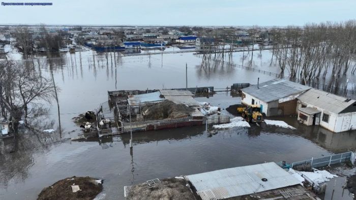 Подтоплены более 400 домов: МЧС о ситуации с паводками в Казахстане