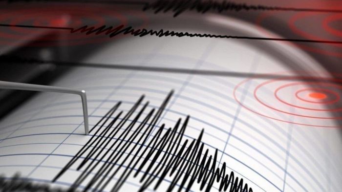 Ученые Кыргызстана прогнозируют возможность сильных землетрясений - Жапаров 
