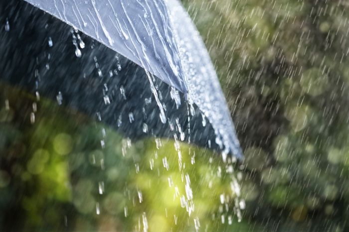 Частые дожди прогнозируют синоптики в Атырауской области в апреле