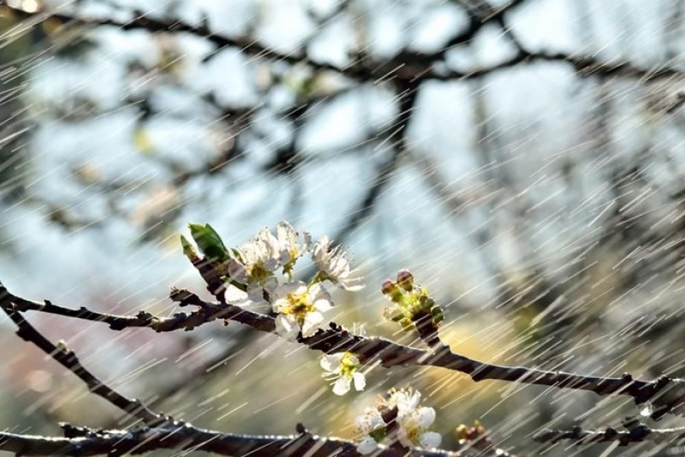 Сильные осадки и понижение температуры прогнозируют синоптики — новости ...