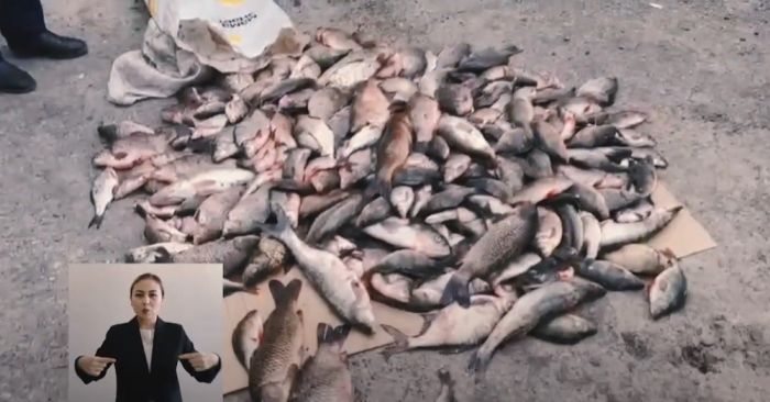 У браконьеров изъято 1,5 тонны рыбы