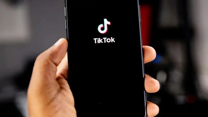 Запрет TikTok в Казахстане: спасёт ли это наших детей от насилия и порнографии
