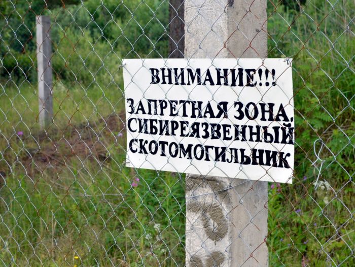Захоронения сибирской язвы затопило при паводках: в воде не нашли возбудителей