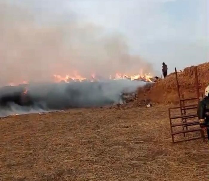В Атырауской области сгорело сено