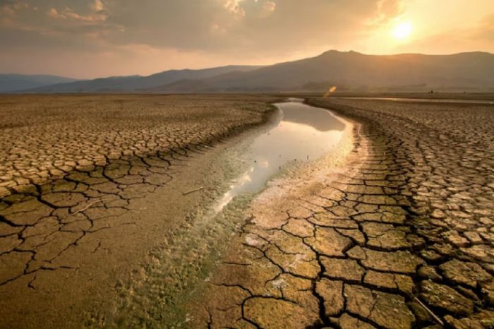 Казгидромет: увеличивается площадь подверженных риску наступления засухи 