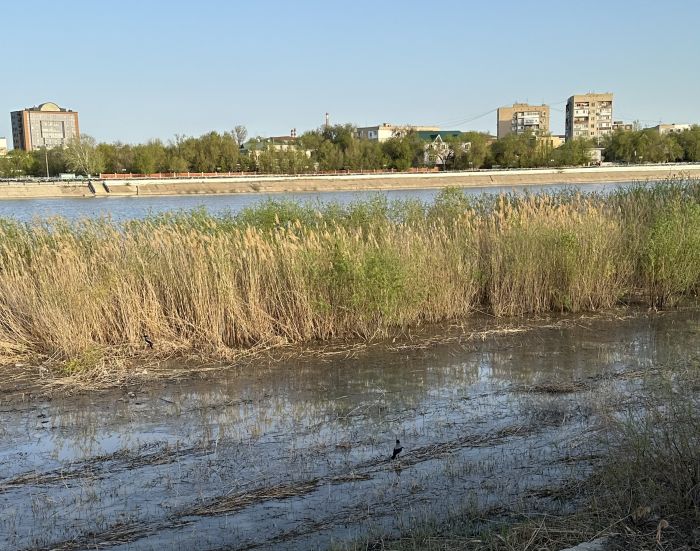 Оперативная сводка по уровню воды в Урале в Атырауской области