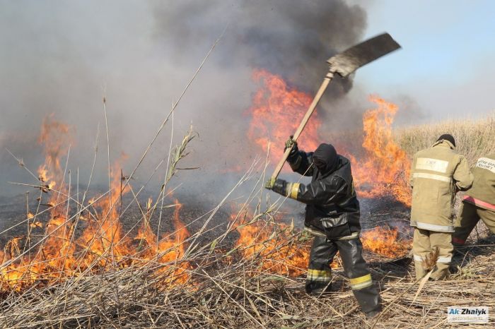 А если новое возгорание? 72% пожарных машин в лесных хозяйствах Казахстана подлежат списанию 