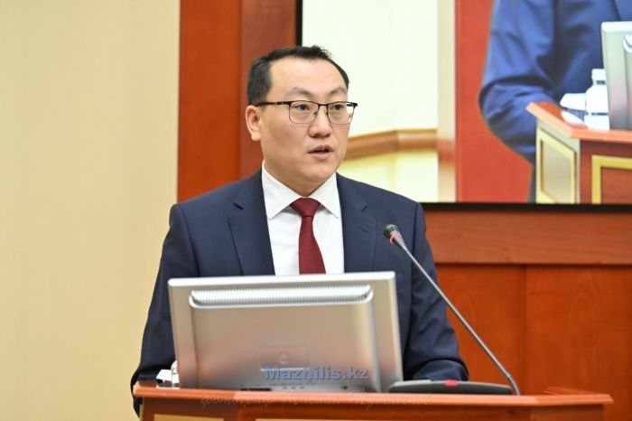 Мажилис ратифицировал соглашение о создании торгово-логистического комплекса на границе Казахстана с Кыргызстаном