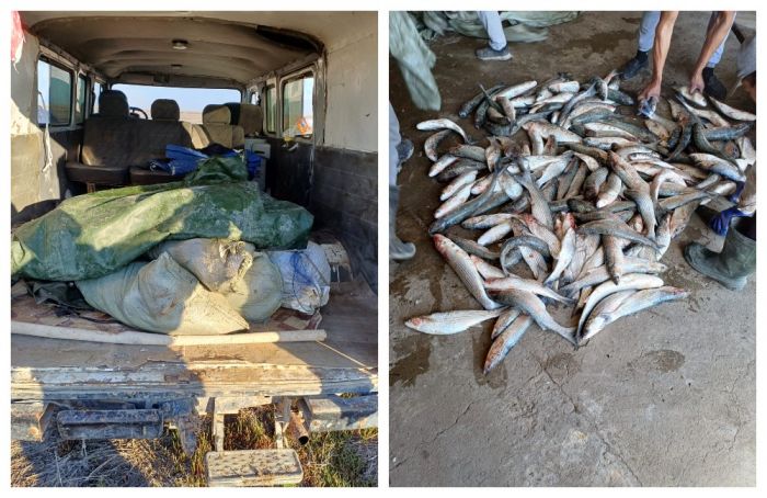 На Жилой косе задержали браконьеров с 200 кг рыбы