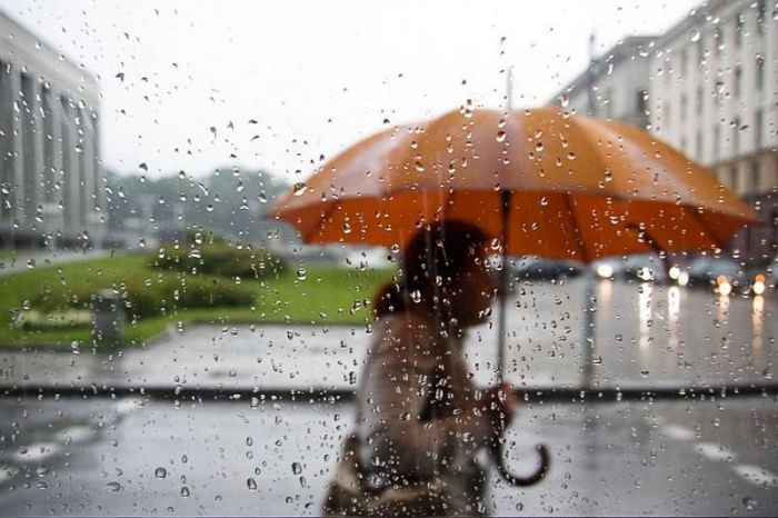 Дожди и ночные заморозки обещают синоптики в Казахстане 