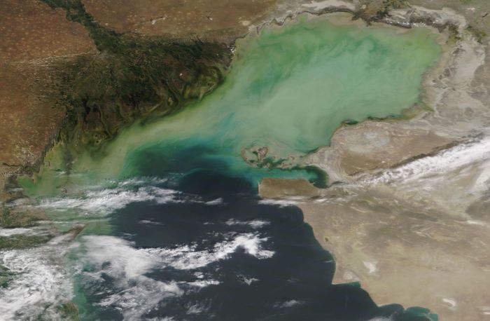 Уровень Каспийского моря поднялся на 119 сантиметров